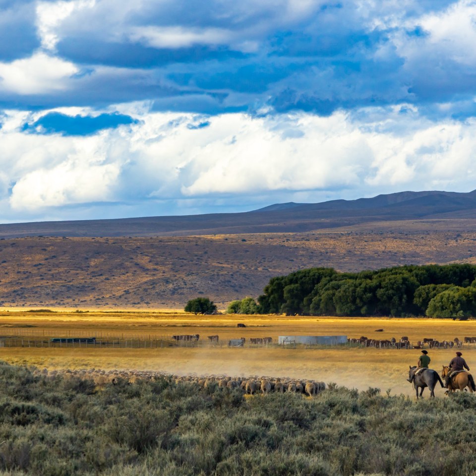 Trekkingabenteuer im Land der Extreme